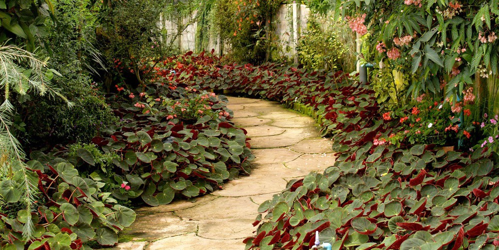 Explore the Gardens of Penzance
